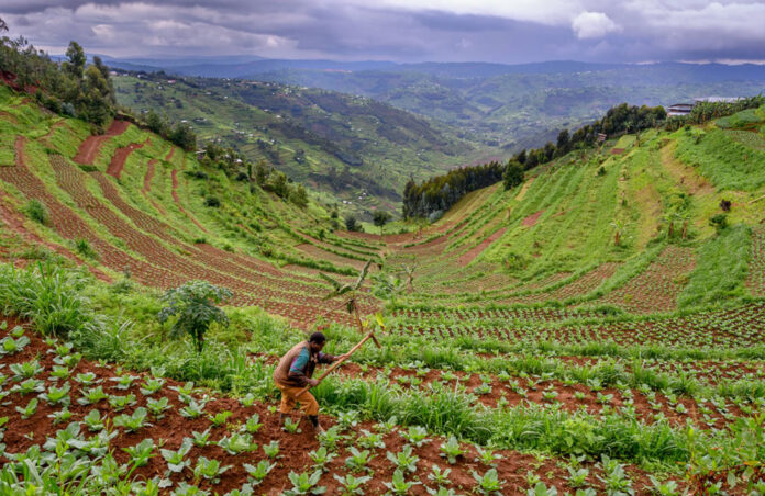 Rwanda, the Ecotourism Destination