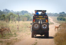 Things To Do On a Safari To Rwanda Rwanda Safari