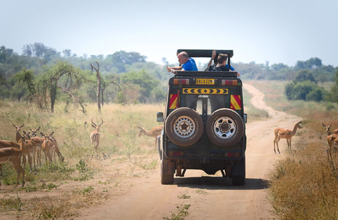 Rwanda Safari